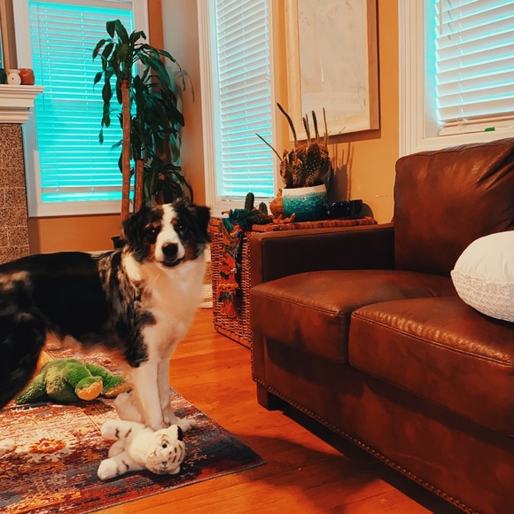 My Angel Luna ๐๐ - Picture 2 of 3